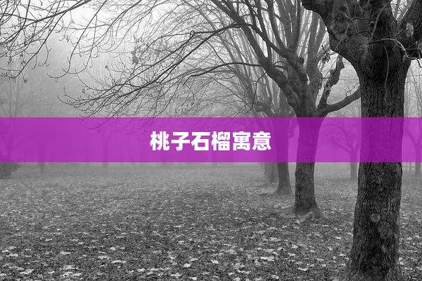 桃子石榴寓意