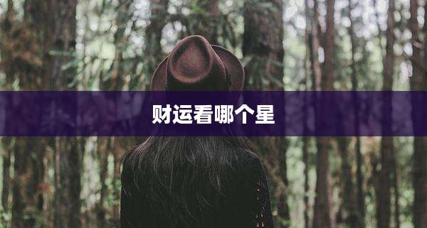 财运看哪个星