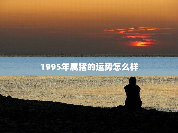 1995年属猪的运势怎么样
