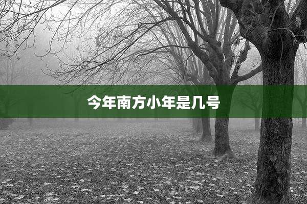 今年南方小年是几号