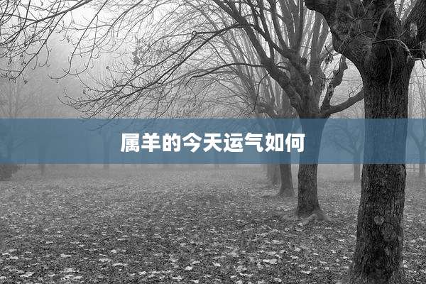 属羊的今天运气如何