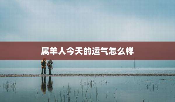 属羊人今天的运气怎么样