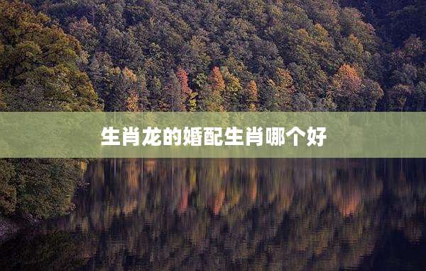 生肖龙的婚配生肖哪个好