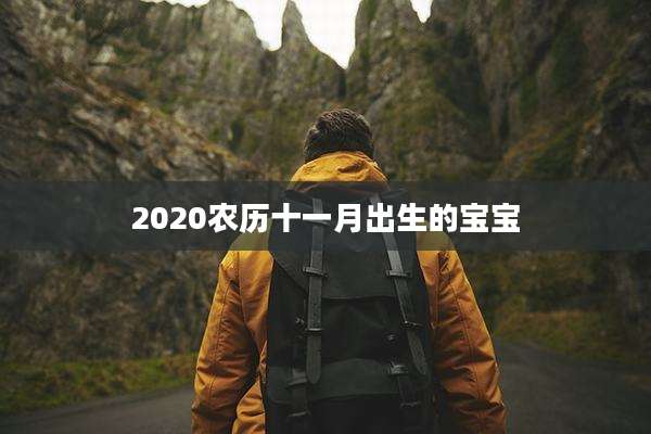 2020农历十一月出生的宝宝