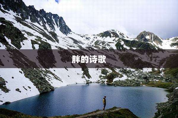 胖的诗歌