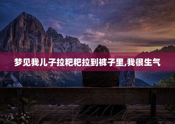 梦见我儿子拉粑粑拉到裤子里,我很生气