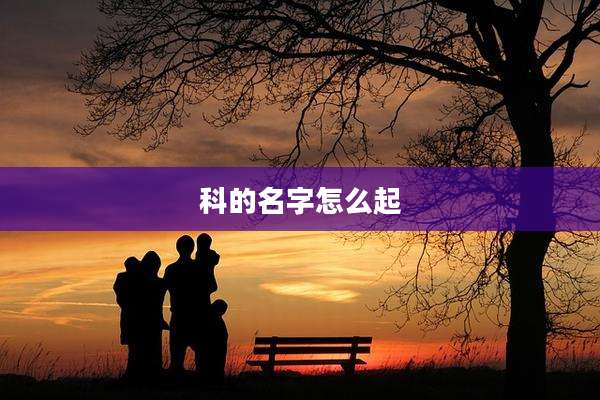 科的名字怎么起