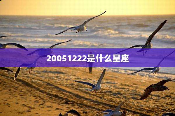 20051222是什么星座