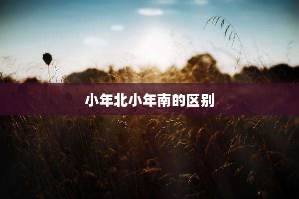 小年北小年南的区别