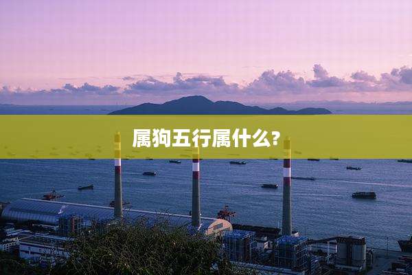 属狗五行属什么?