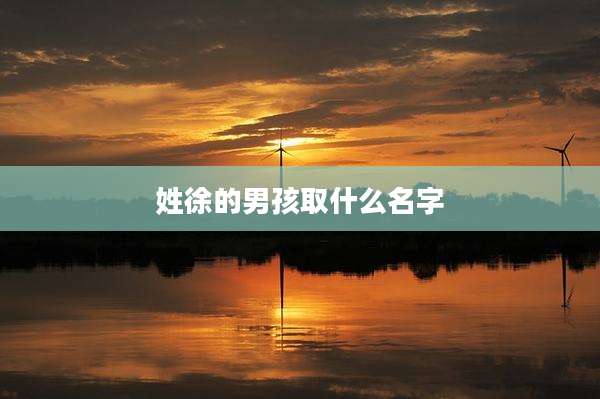 姓徐的男孩取什么名字