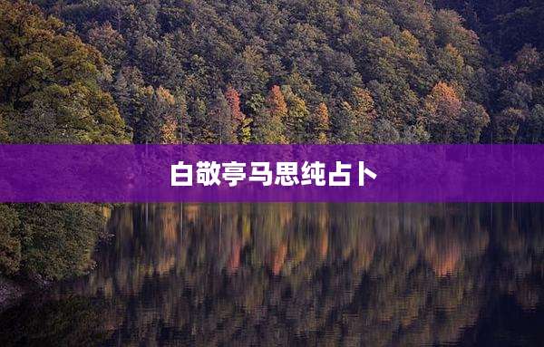 白敬亭马思纯占卜