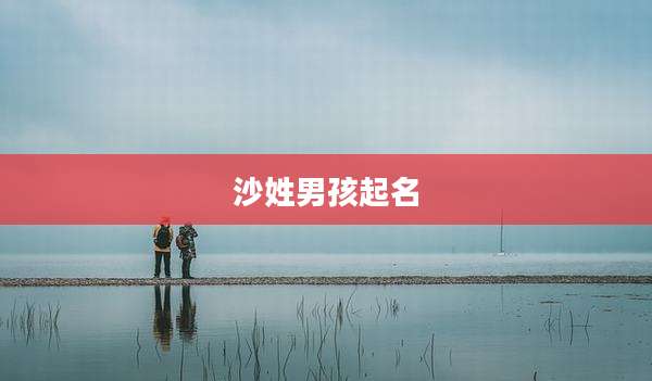 沙姓男孩起名