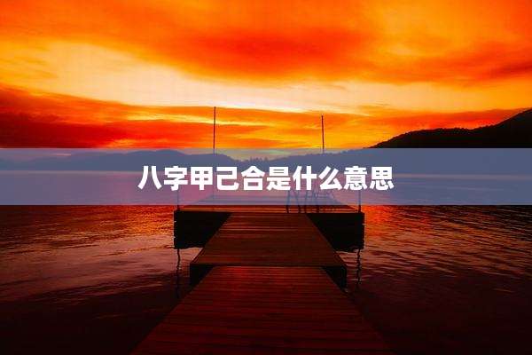 八字甲己合是什么意思