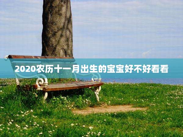 2020农历十一月出生的宝宝好不好看看