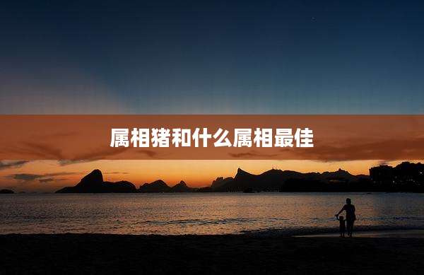 属相猪和什么属相最佳