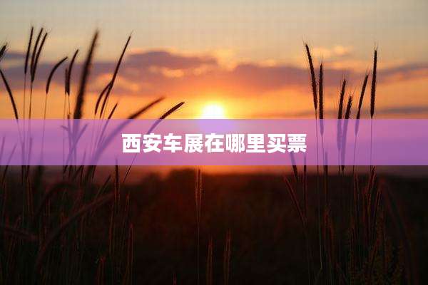 西安车展在哪里买票
