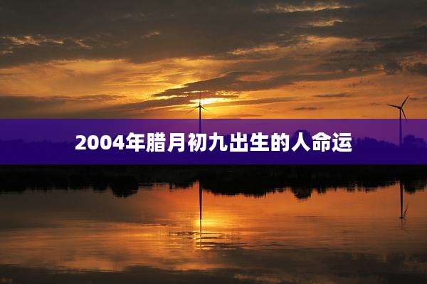 2004年腊月初九出生的人命运