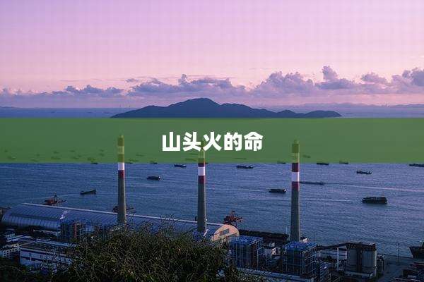 山头火的命