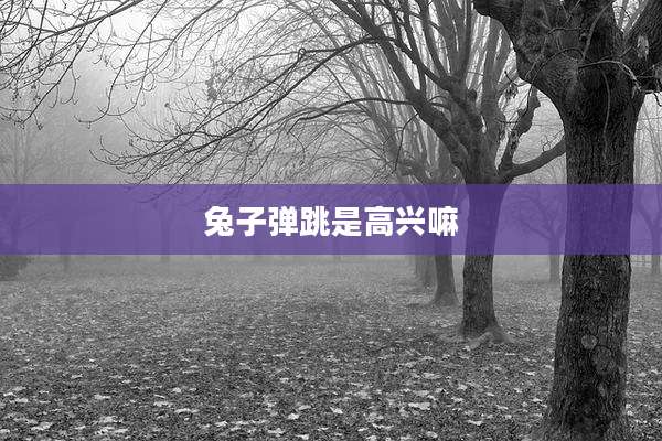 兔子弹跳是高兴嘛