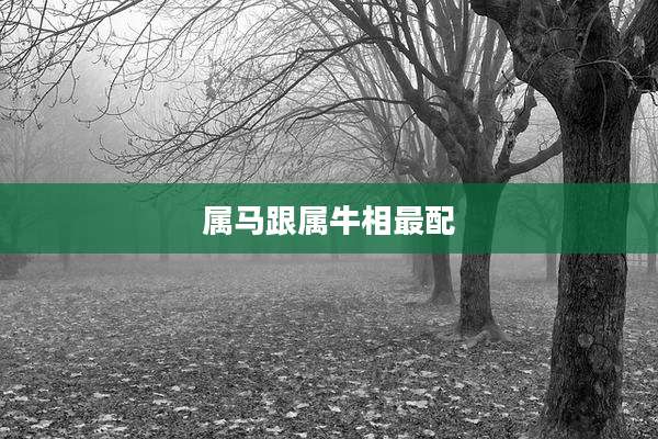 属马跟属牛相最配