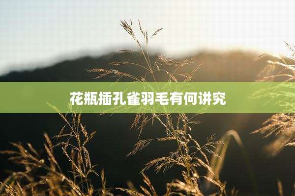 花瓶插孔雀羽毛有何讲究