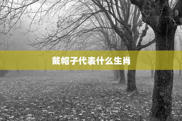 戴帽子代表什么生肖