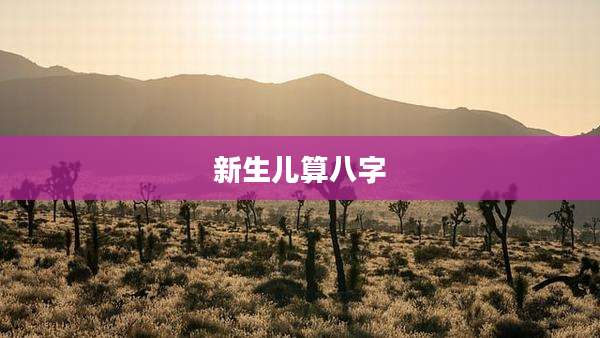 新生儿算八字