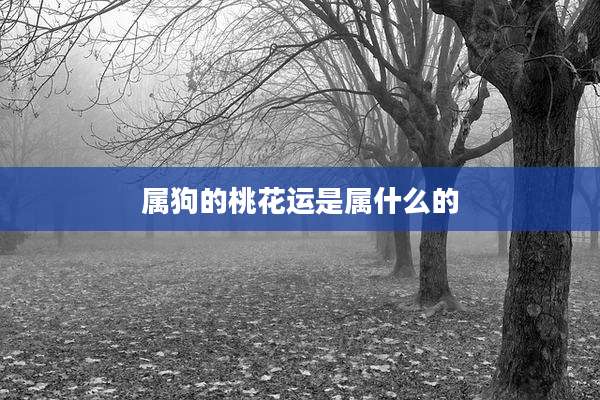 属狗的桃花运是属什么的