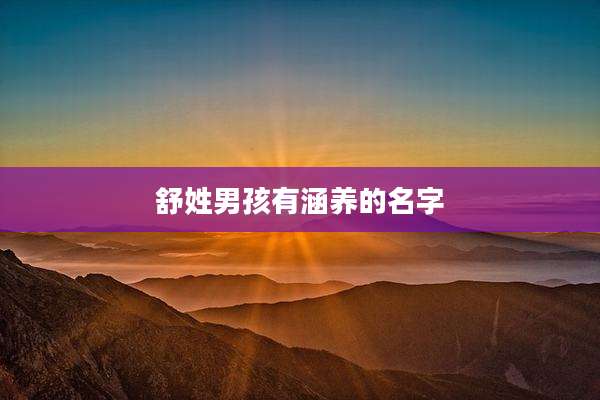 舒姓男孩有涵养的名字