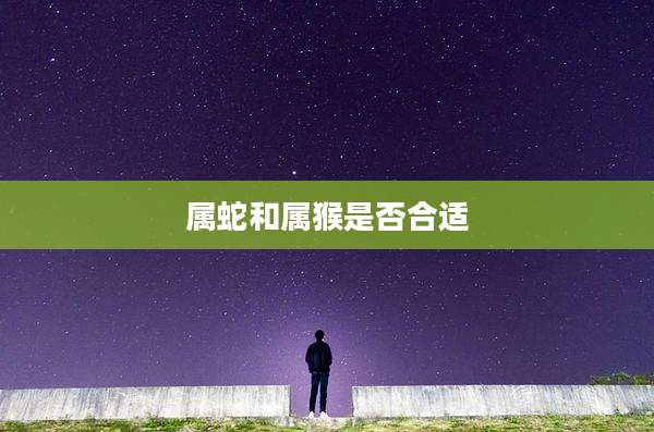 属蛇和属猴是否合适