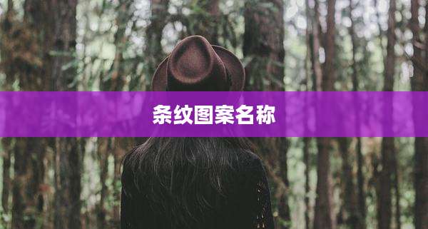 条纹图案名称