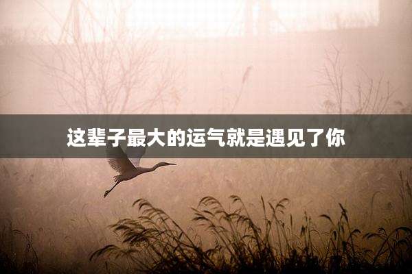这辈子最大的运气就是遇见了你