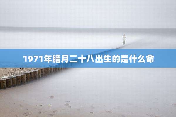 1971年腊月二十八出生的是什么命