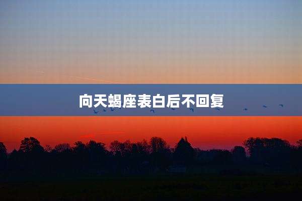 向天蝎座表白后不回复