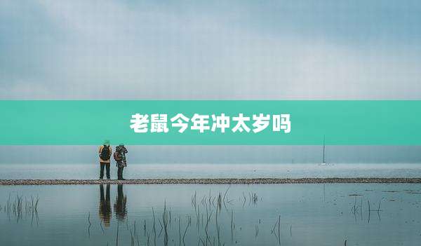 老鼠今年冲太岁吗