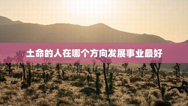 土命的人在哪个方向发展事业最好