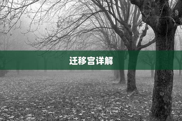迁移宫详解