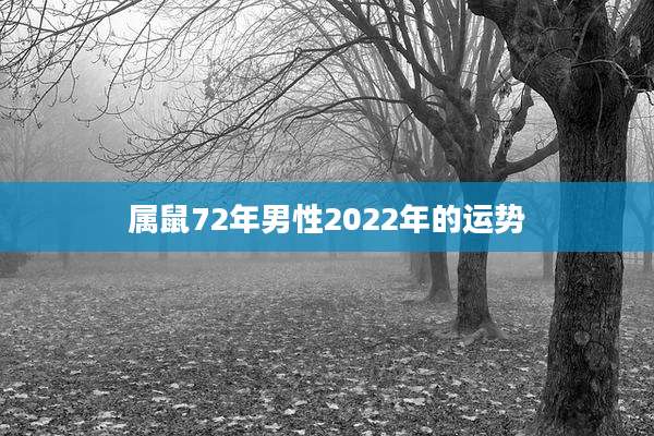 属鼠72年男性2022年的运势