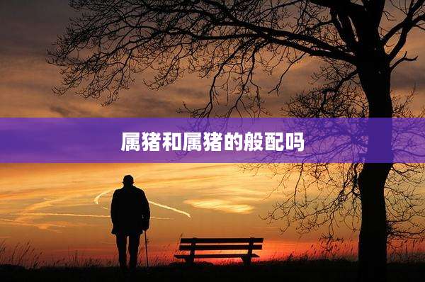 属猪和属猪的般配吗