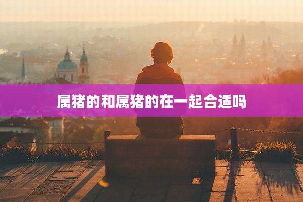 属猪的和属猪的在一起合适吗