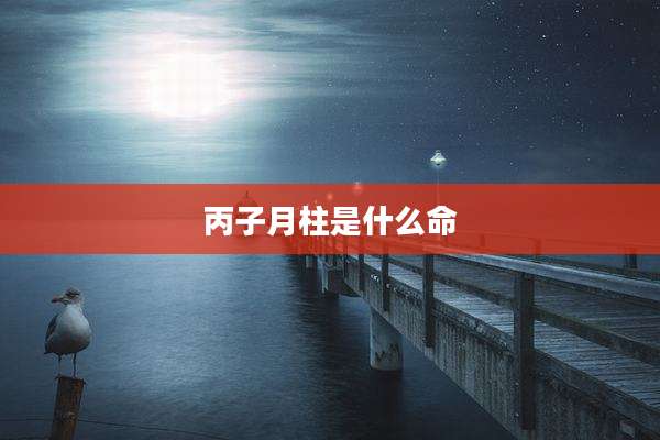 丙子月柱是什么命