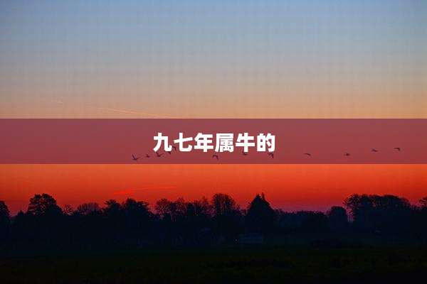九七年属牛的