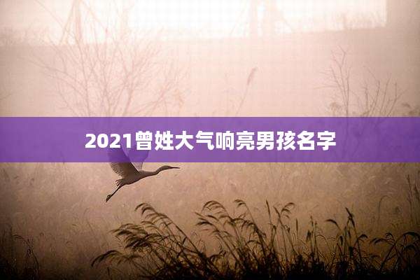 2021曾姓大气响亮男孩名字
