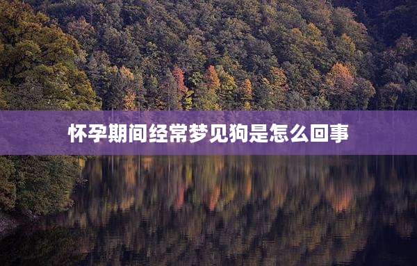 怀孕期间经常梦见狗是怎么回事
