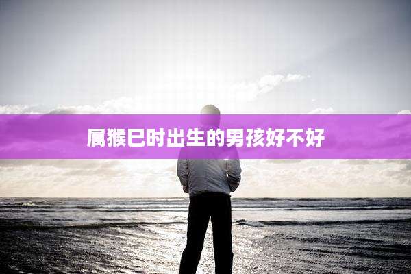 属猴巳时出生的男孩好不好