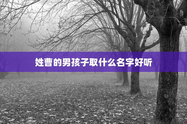 姓曹的男孩子取什么名字好听
