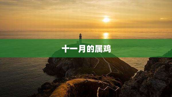 十一月的属鸡