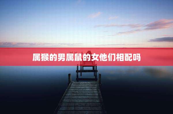 属猴的男属鼠的女他们相配吗