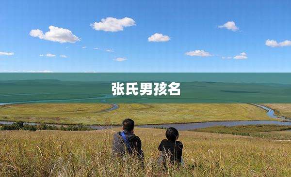 张氏男孩名
